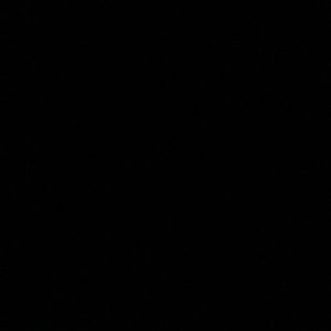 Meet your Posher, Jake